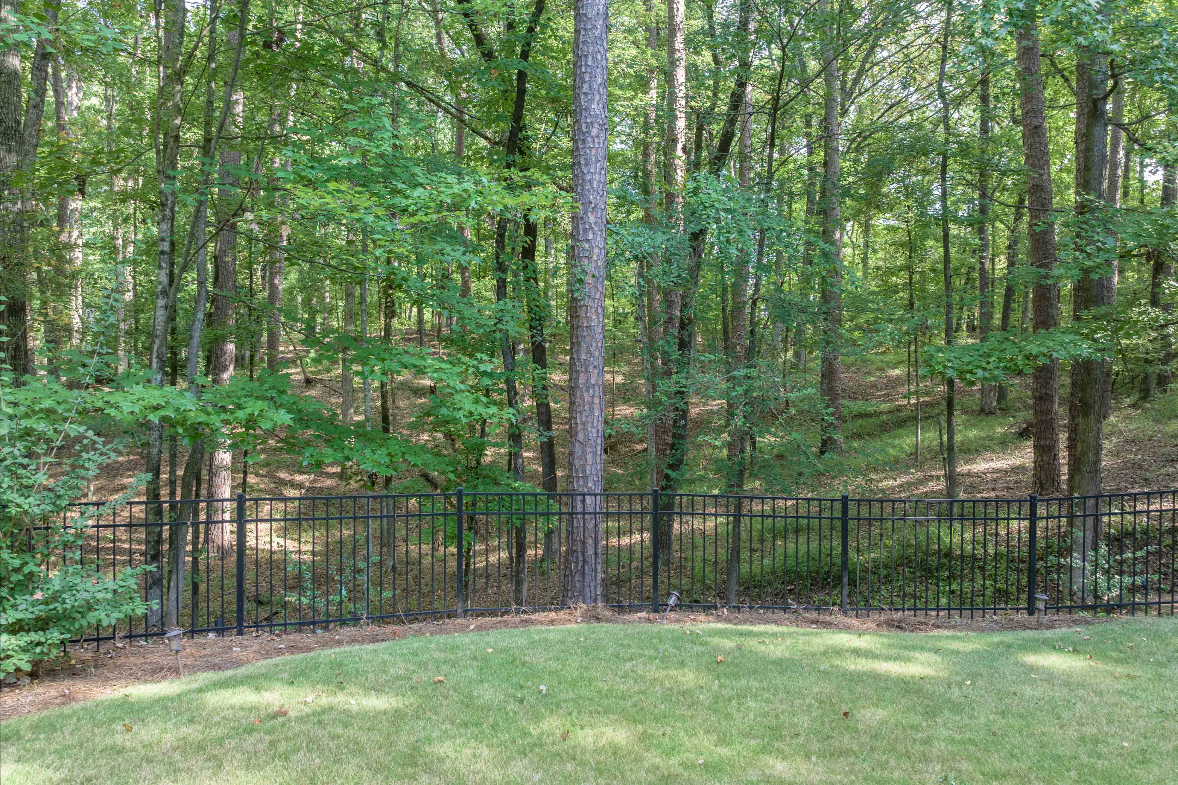 1001 Walton Way image 71